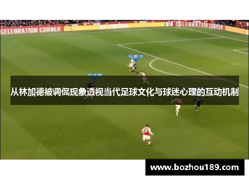 从林加德被调侃现象透视当代足球文化与球迷心理的互动机制