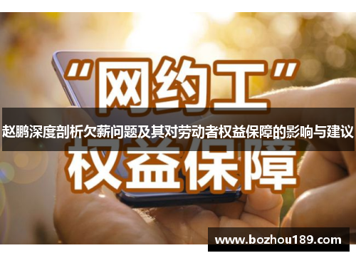 赵鹏深度剖析欠薪问题及其对劳动者权益保障的影响与建议